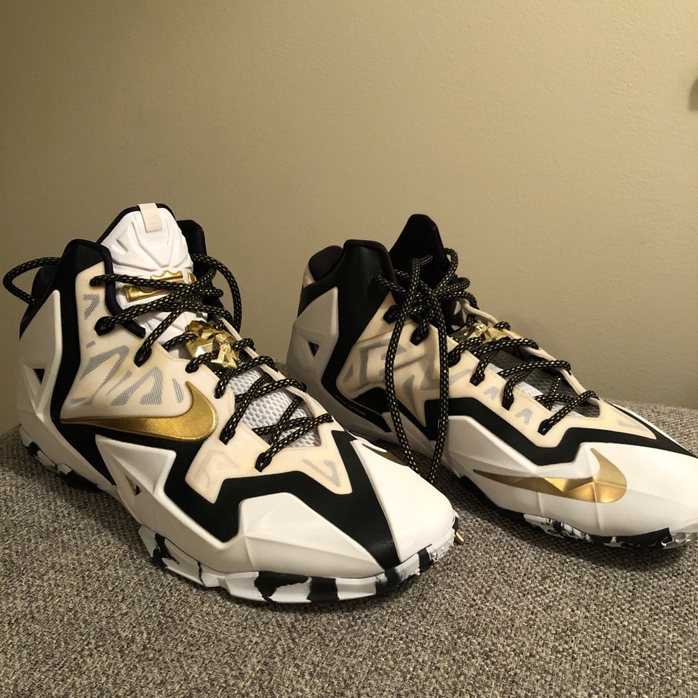 LeBron James Nike basketball shoes